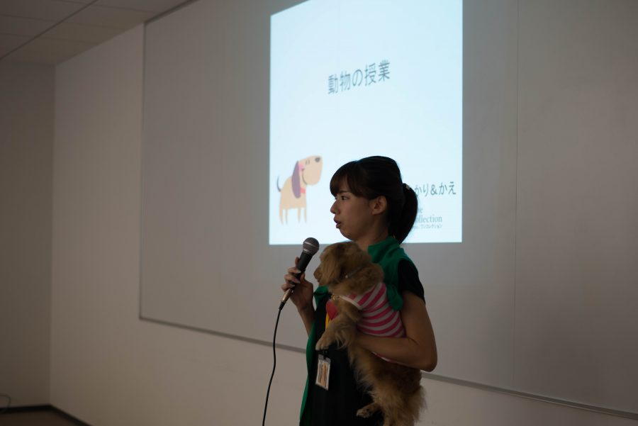 アイペット_動物の授業