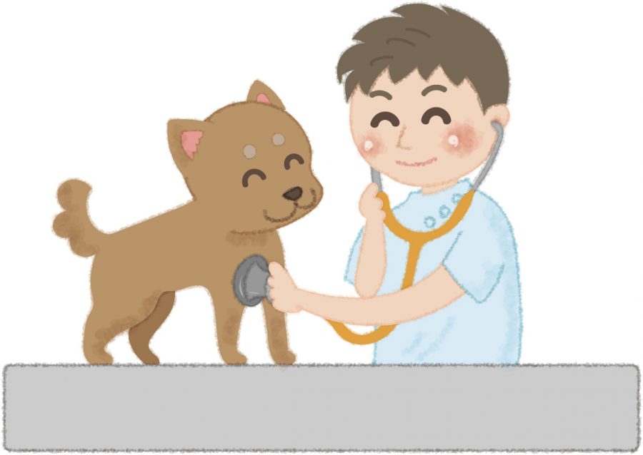 犬と獣医師
