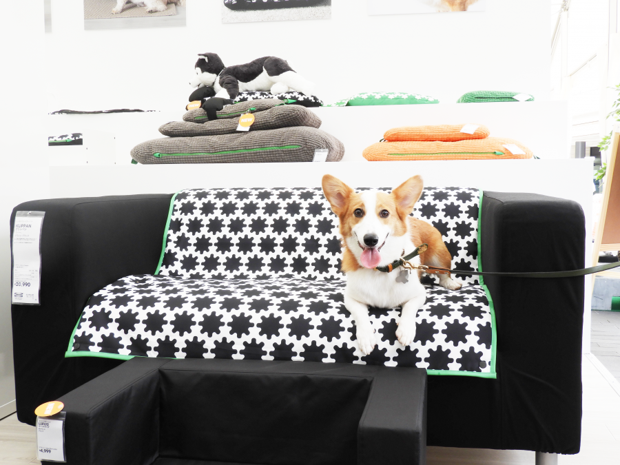 IKEA ルールヴィグ ペット用品 コルク