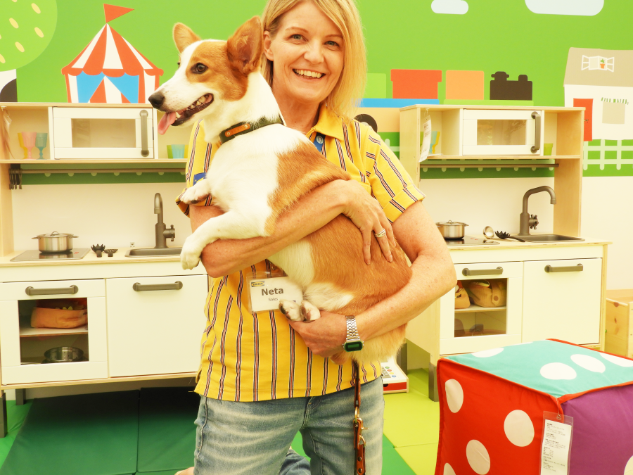 IKEA ルールヴィグ スタッフ 犬