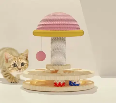猫のおもちゃ_留守番_子猫