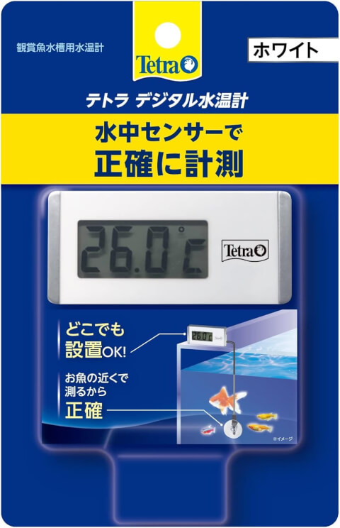 レッドビーシュリンプ　水温計