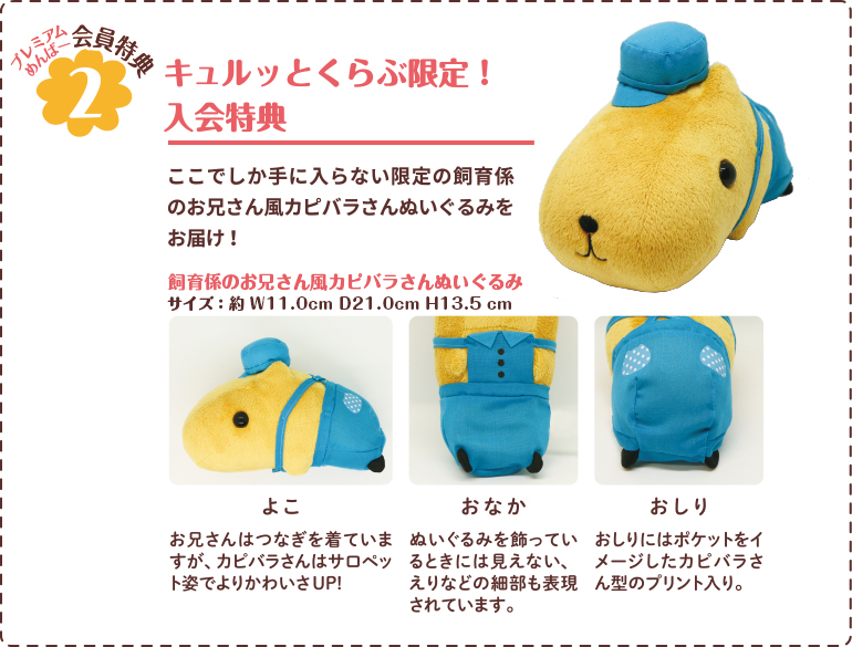 サービス カピバラさんキュルッとくらぶ