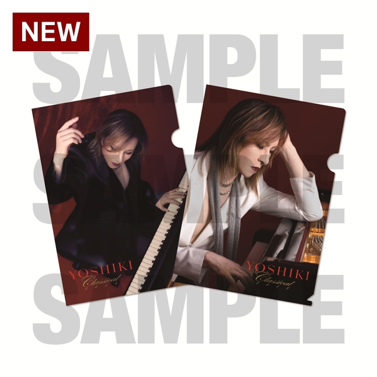 A4クリアファイル2枚セット／Set of 2 A4clear files