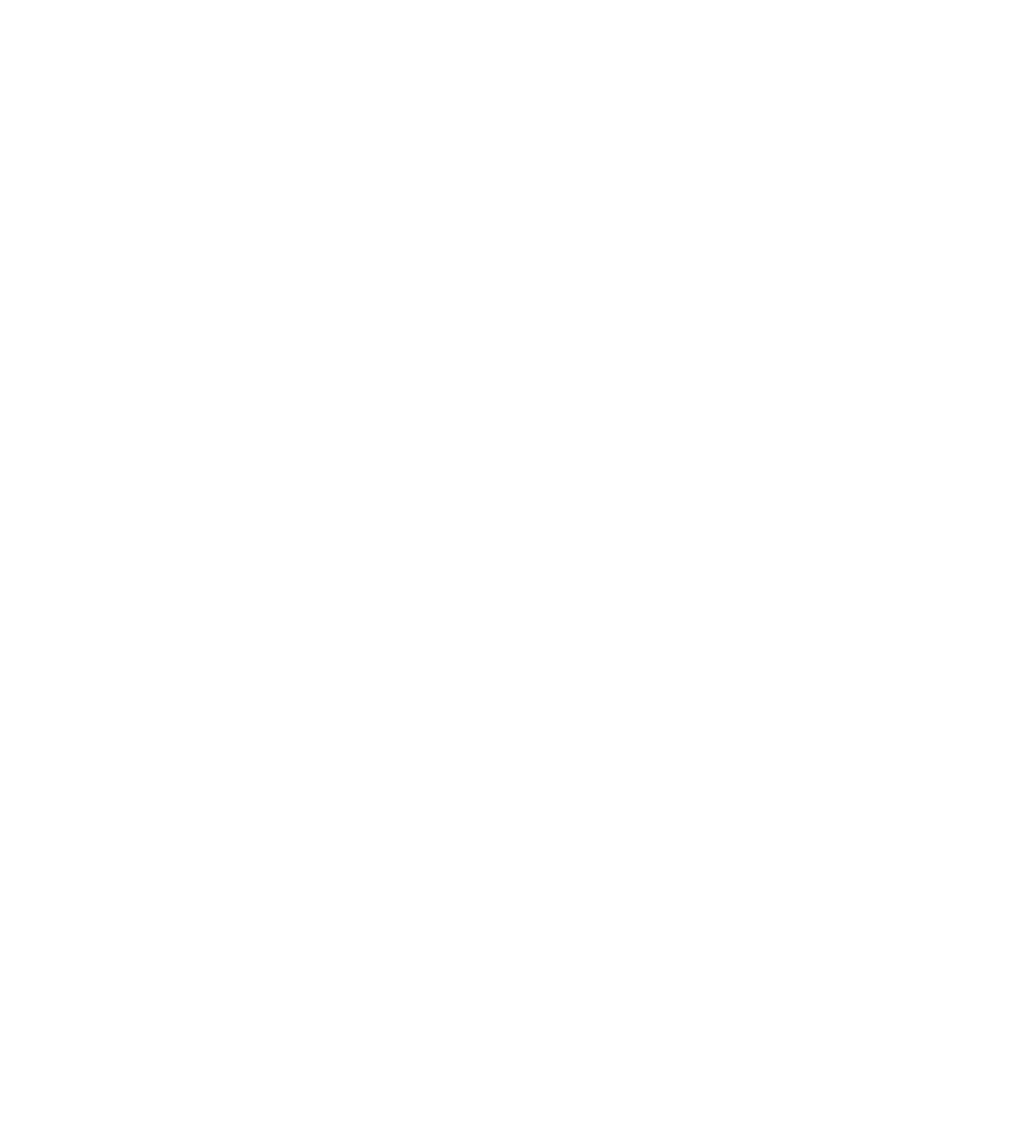H//PE PRINCESS