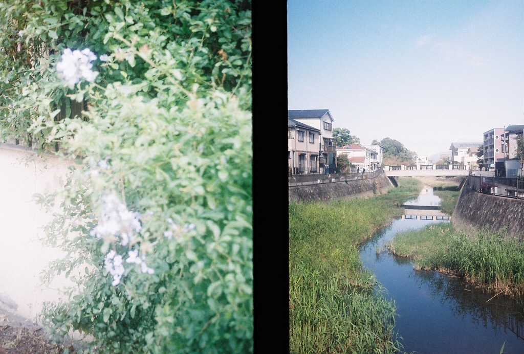 おすすめフィルムカメラ 撮れる数2倍 幸せ2倍 物語を紡ぐハーフサイズカメラ Olympus Pen Ee3 Photoli フォトリ フォトスポットで素敵な写真を