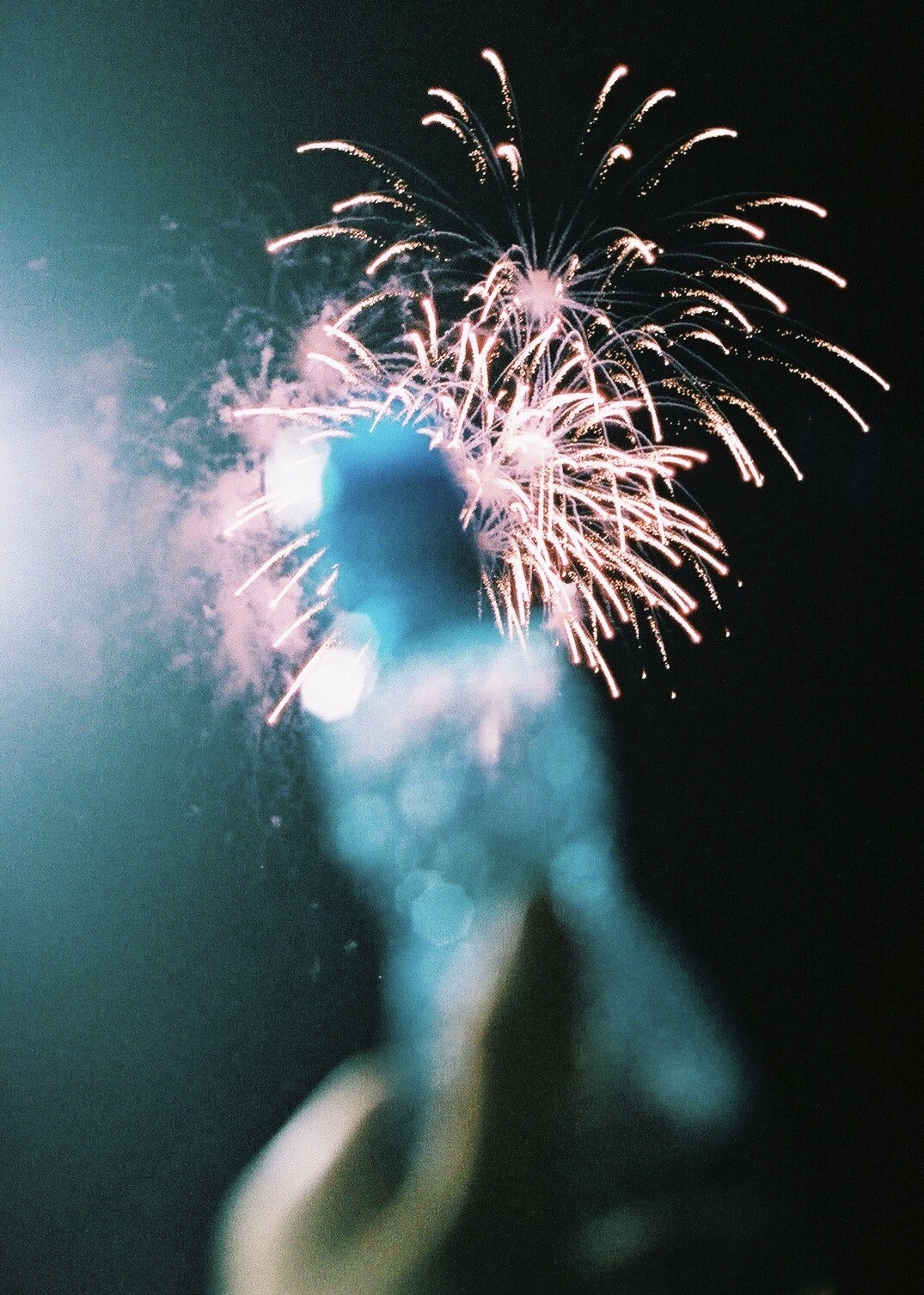 おすすめフィルムカメラ 日々に彩を添えてくれた Nikonfeだからこそ知れた楽しさ Photoli フォトリ フォトスポットで素敵な写真を