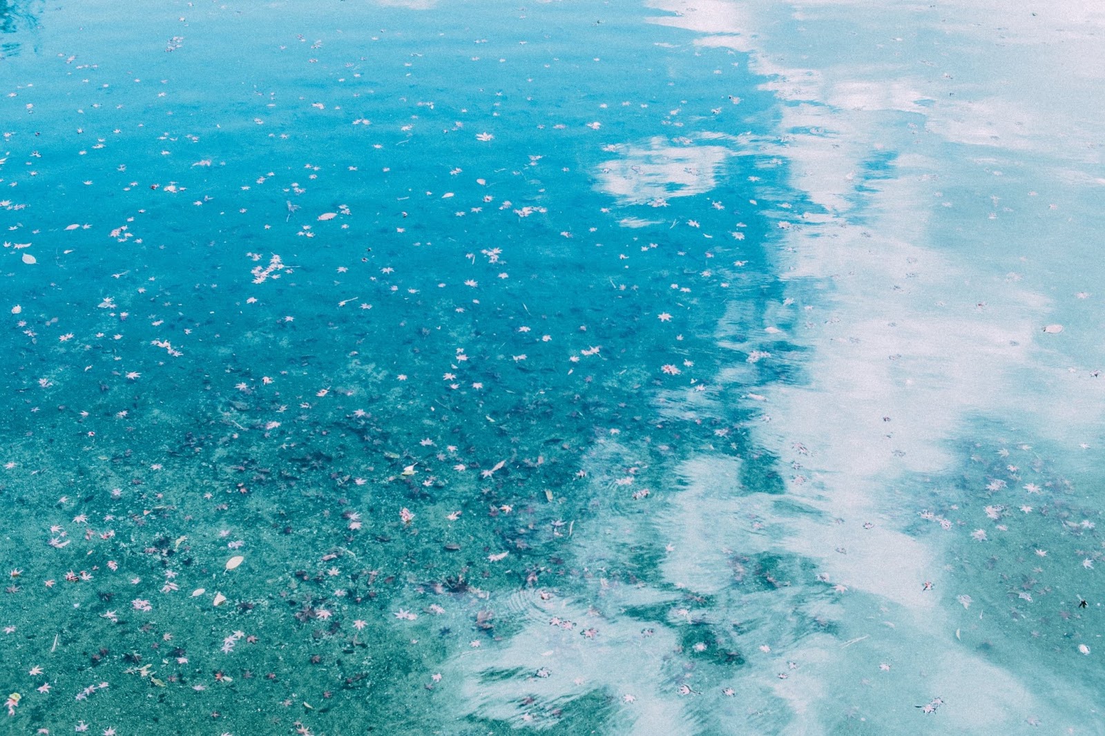 リフレクションを極めろ 雨上がりの空と水たまりと写真と Photoli フォトリ フォトスポットで素敵な写真を