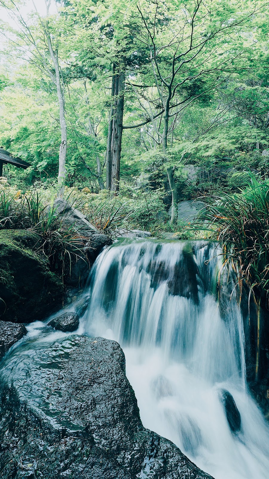 流線を切り取れ シャッタースピードを理解して表現に幅を持たせよう Photoli フォトリ フォトスポットで素敵な写真を