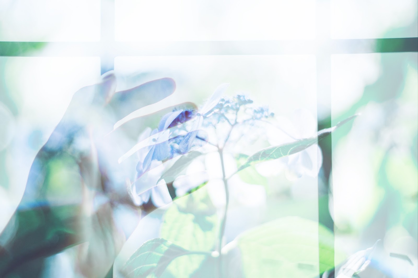 保存版 色補正から多重露光まで レタッチアプリ Snapseed の使い方を徹底解説した Photoli フォトリ フォトスポットで素敵な写真を