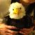 Hideki
