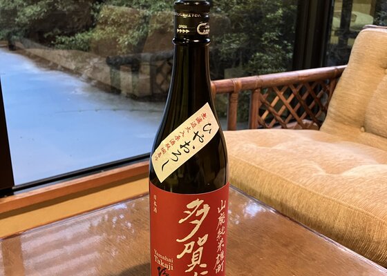 八甲田/十和田サボ(盛岡持ち) 61vhWlTyMsL._UF350,350_QL50_.jpg