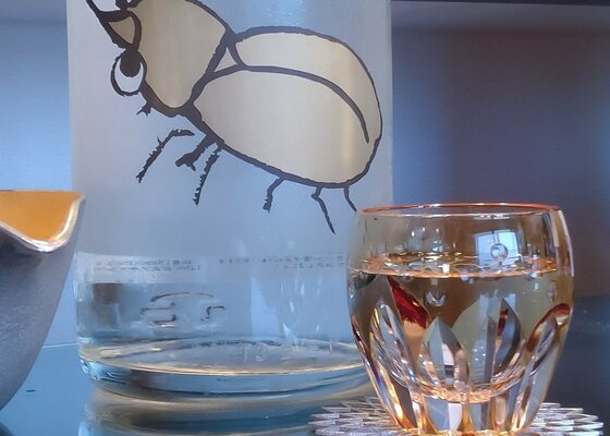 仙禽 ✕ IMADEYA 金のかぶとむし せんきん 栃木県 | さけのわ