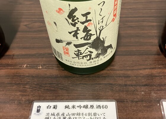 白菊　 白菊（しらぎく）廣瀬商店 茨城県 | さけのわ