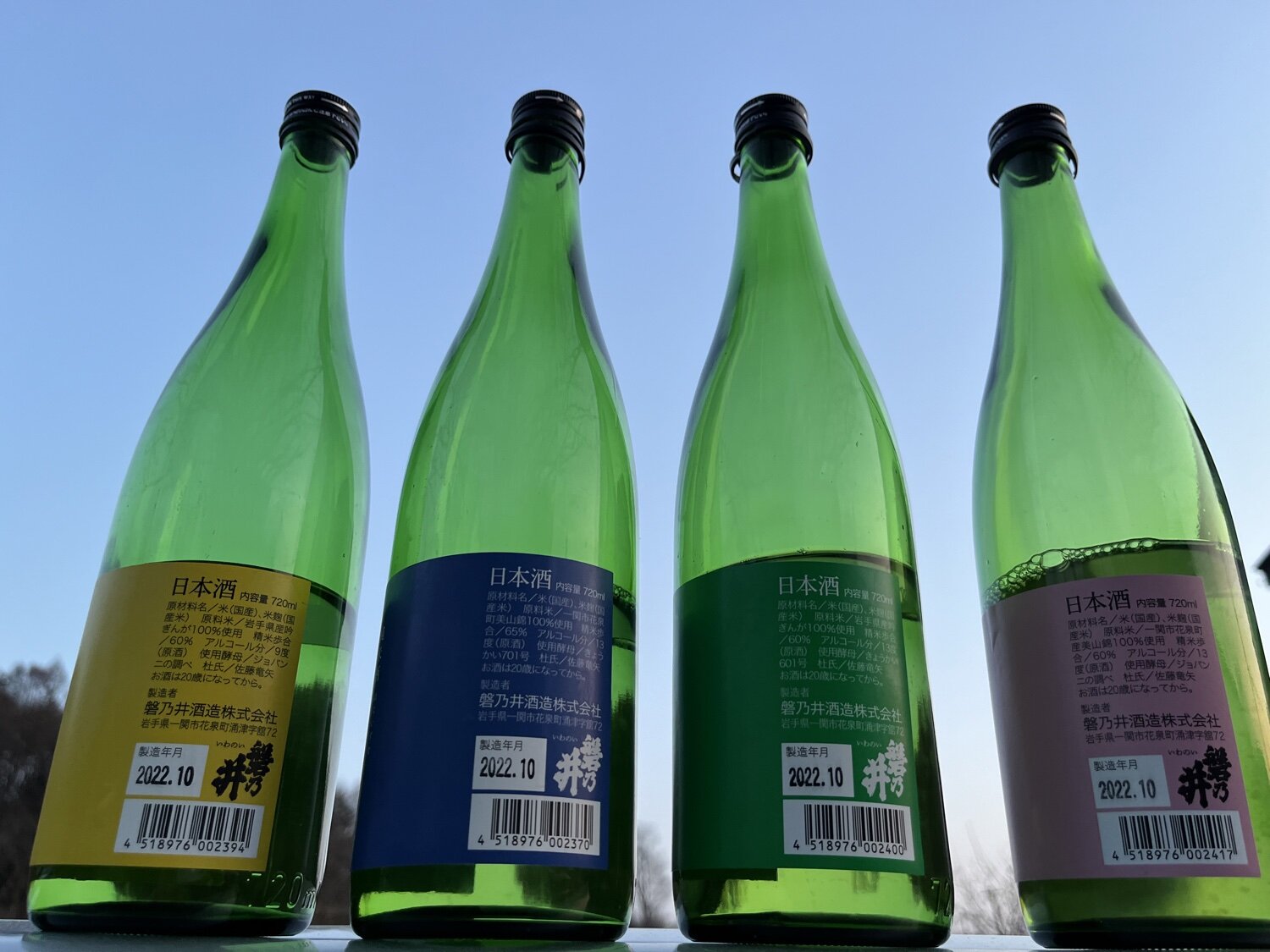 電気グルーヴ 磐乃井酒造 電酒グルーヴ 2本セット 日本酒 【公式通販】