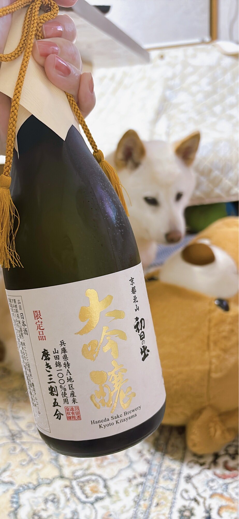 日本酒限定品‼️ 「初日の出」 大吟醸特A山田錦 磨き三割五分