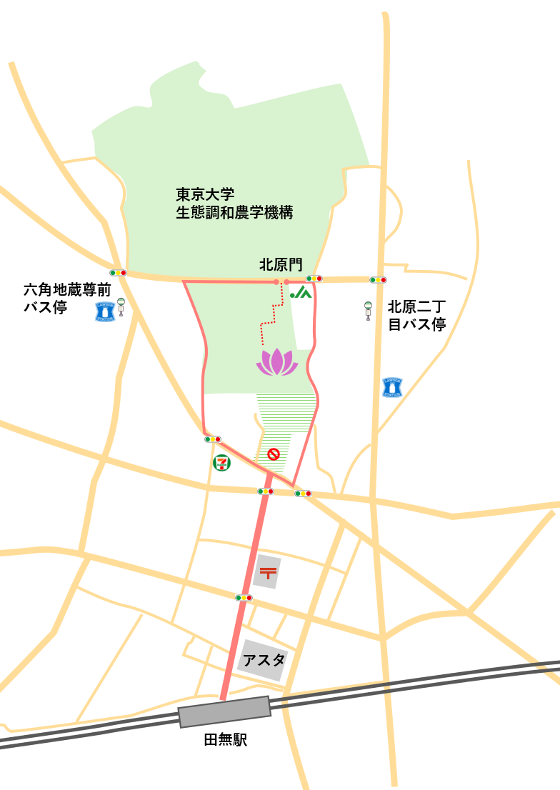 2026年度 観蓮会の開催【7月17日，18日（金，土）】 | 生態調和農学