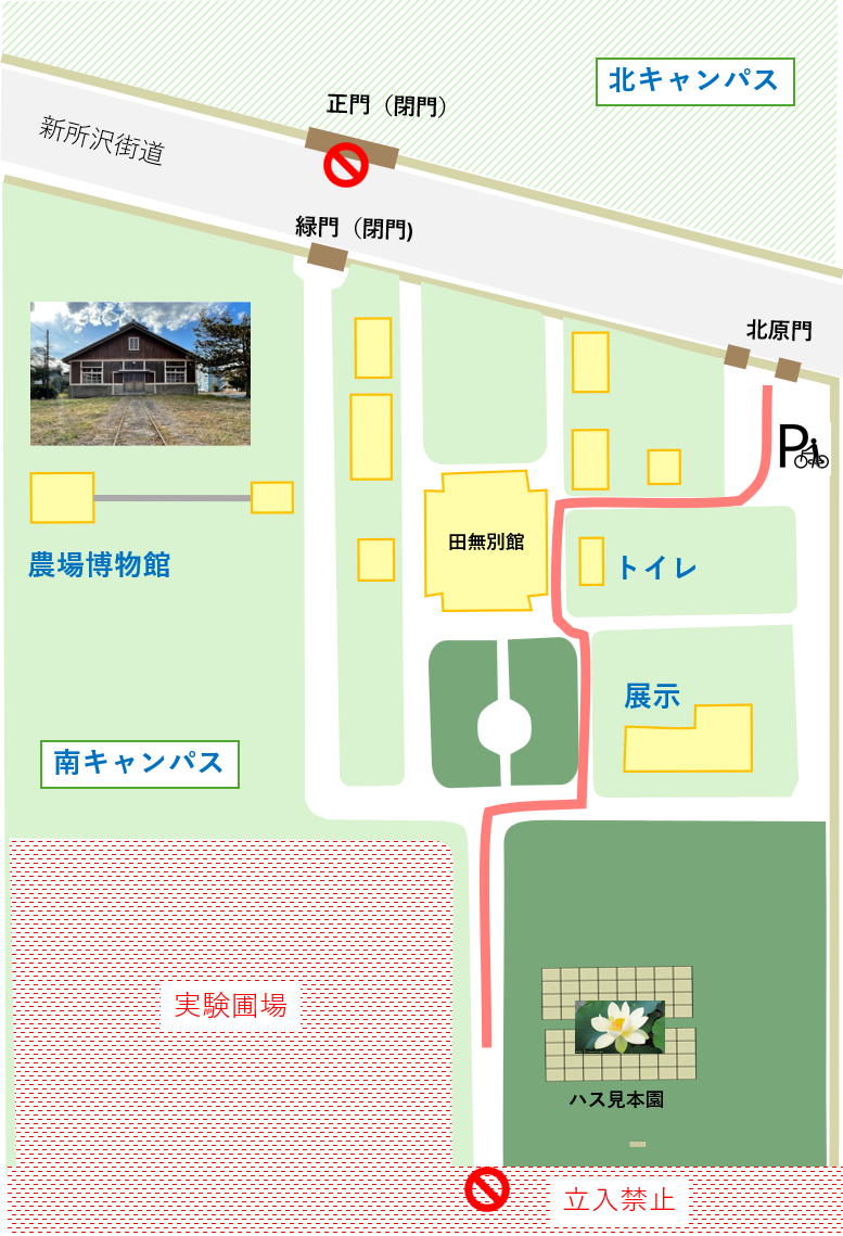 2026年度 観蓮会の開催【7月17日，18日（金，土）】 | 生態調和農学