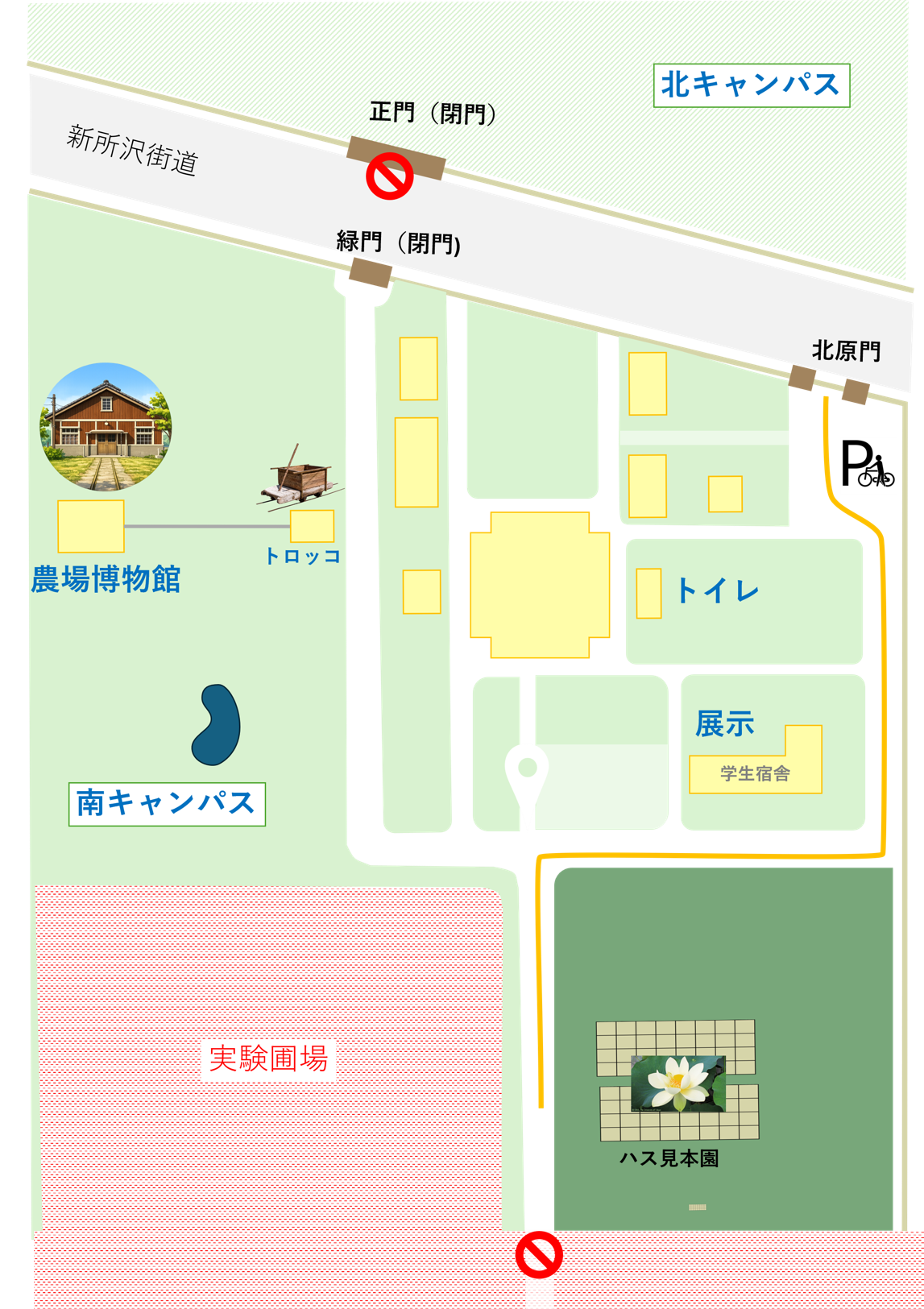 2026年度 観蓮会の開催【7月17日，18日（金，土）】 | Institute for