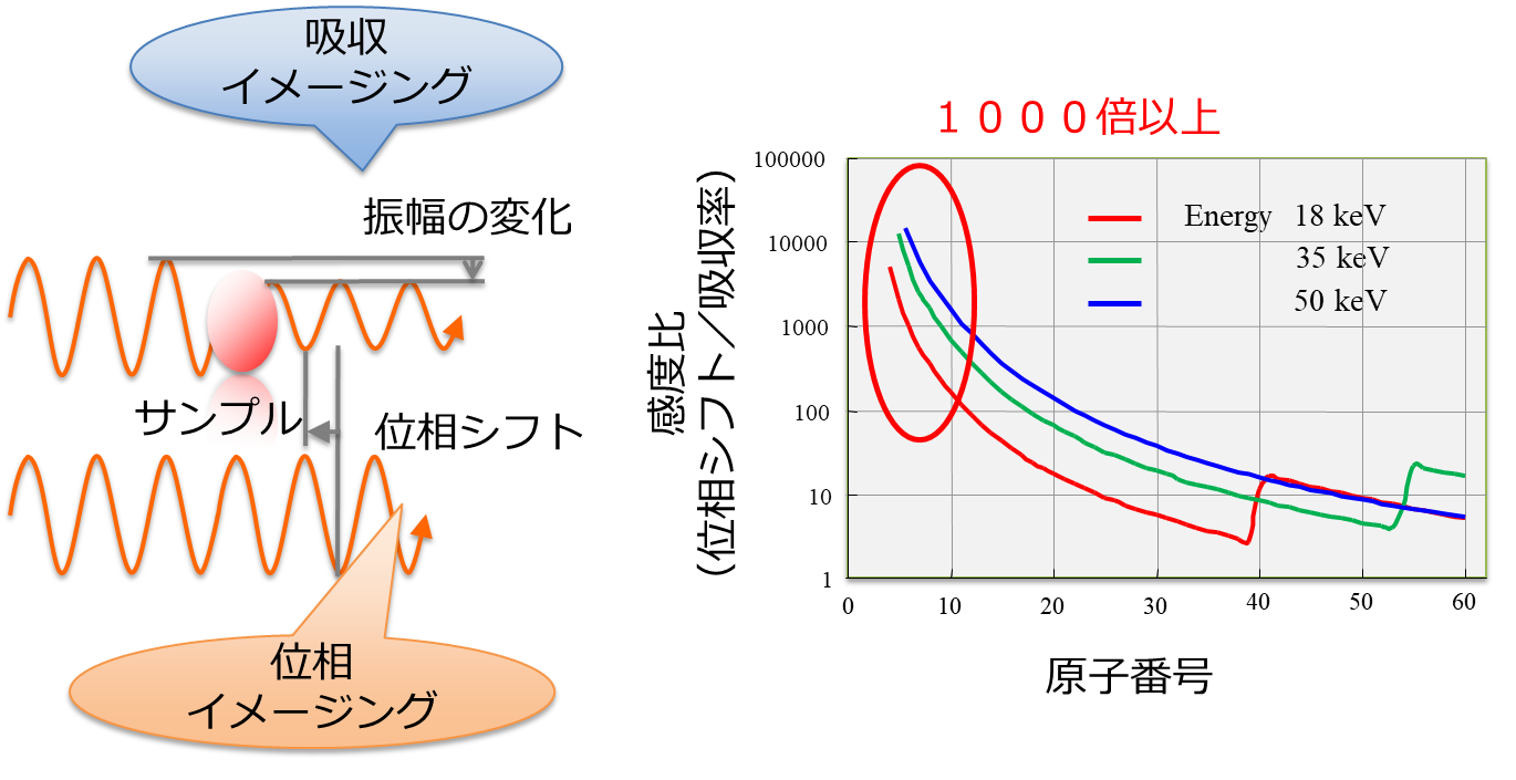 ピストン　和声/対位法 ピストン 対位法 分析と学習 | ウォルター・ピストン |本 | 通販