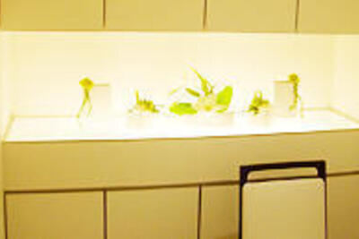 ミュゼ なんばCITY店