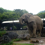 利用者プロフィール写真