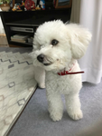 利用者プロフィール写真