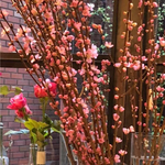 利用者プロフィール写真