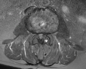 截圖 2025-11-30 晚上10.11.17.png