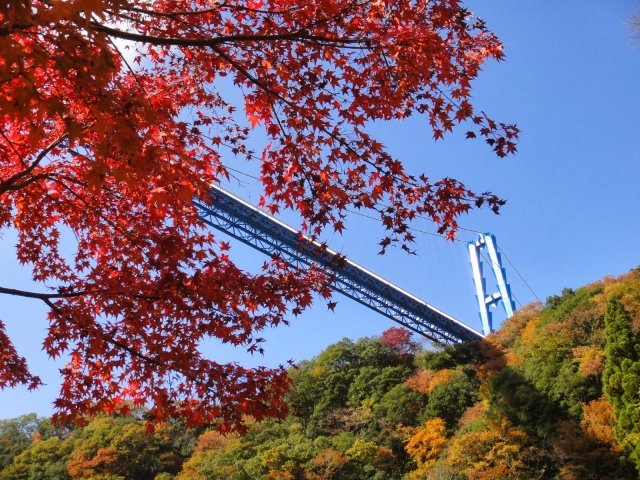 JR特急ひたち号利用で行く【袋田の滝】【花貫渓谷】【竜神大吊橋】北茨城三大紅葉めぐりバスツアー~三浜たこめしのお弁当付き~