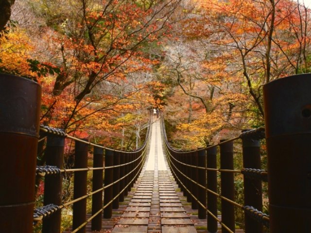 開催日程なし