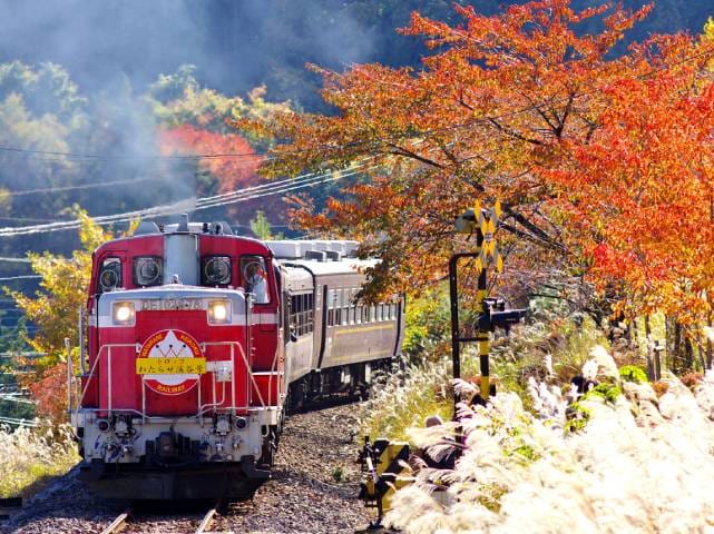 わたらせ渓谷鉄道トロッコ列車乗車&床もみじが美しい宝徳寺&湖の