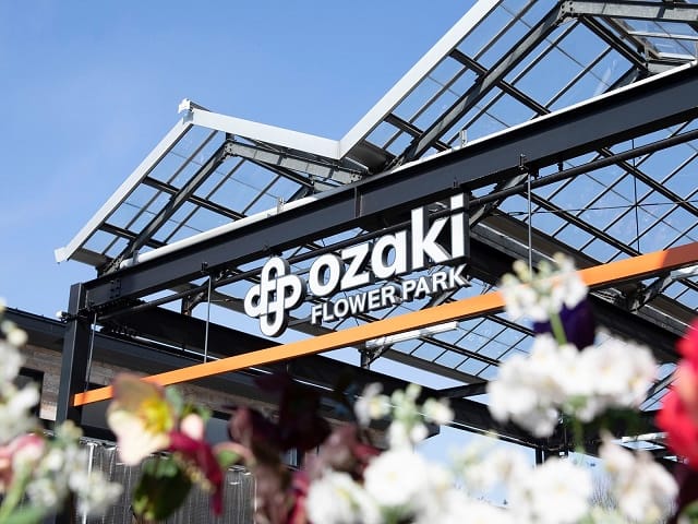 ローズガーデンクリスマスと教会めぐり＆解説付！都内最大級の園芸店