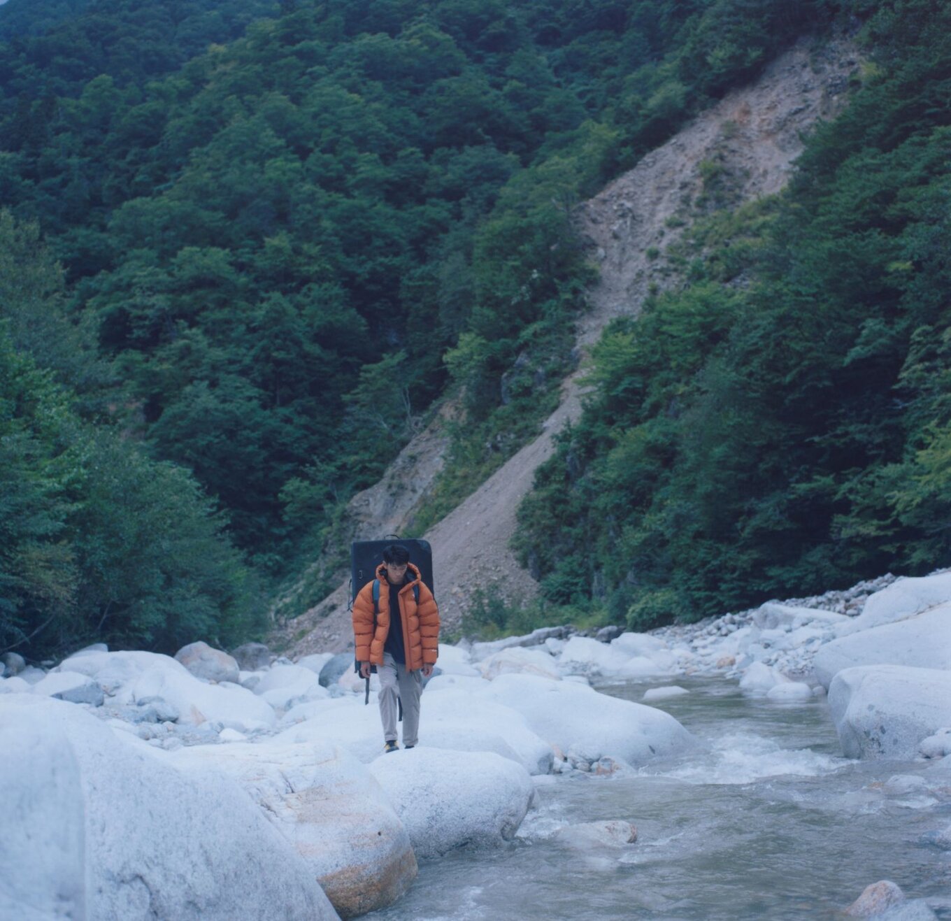 画像のaltを設定してください