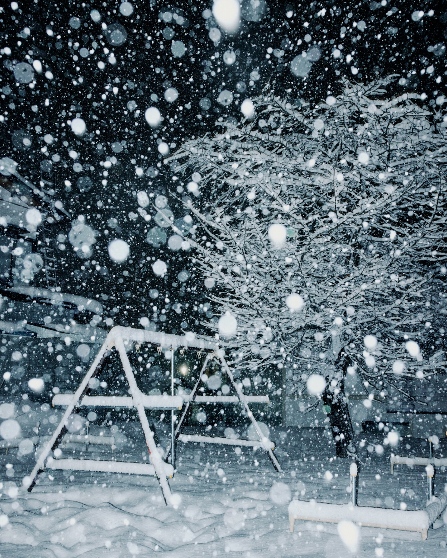 画像のaltを設定してください