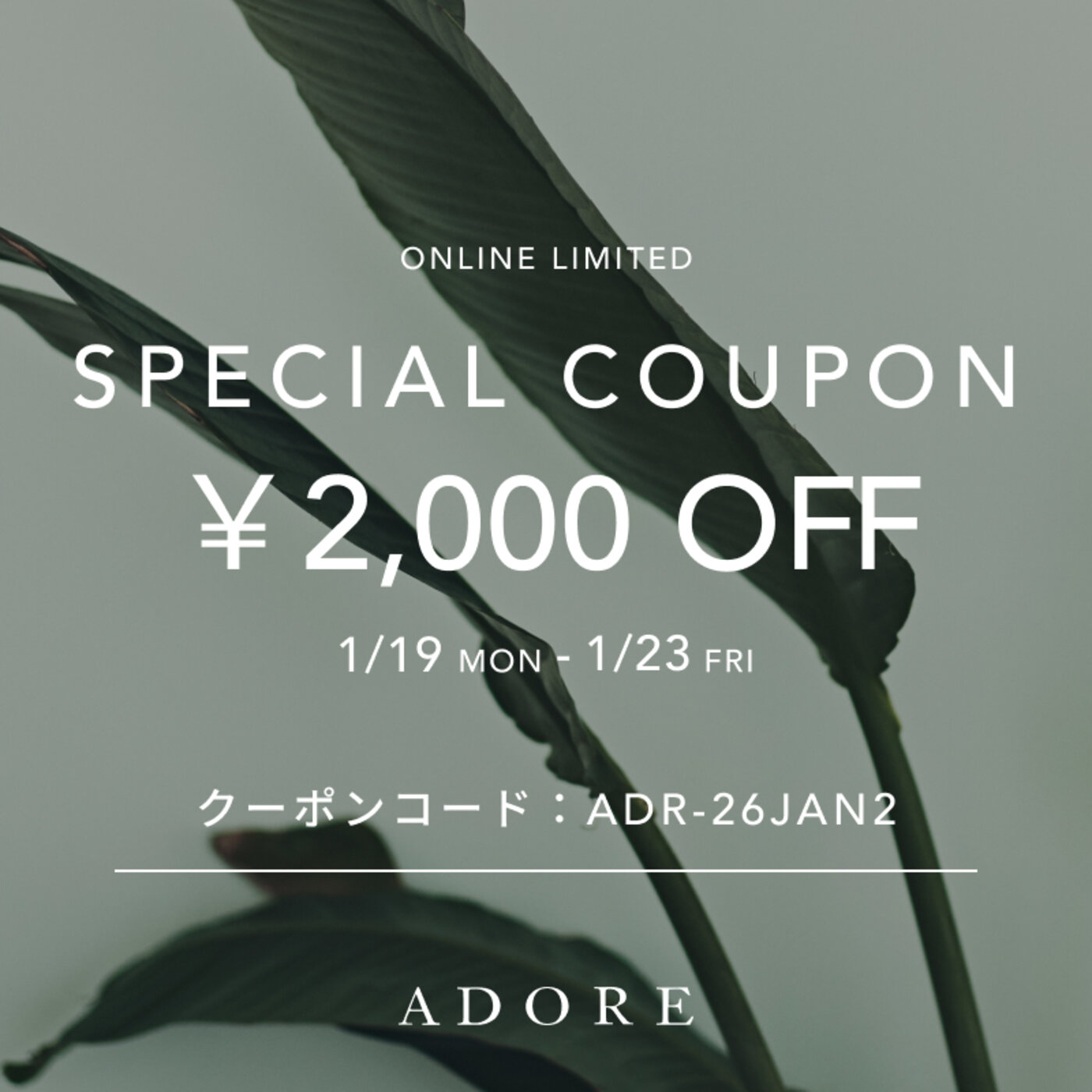 画像のaltを設定してください