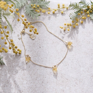 画像のaltを設定してください