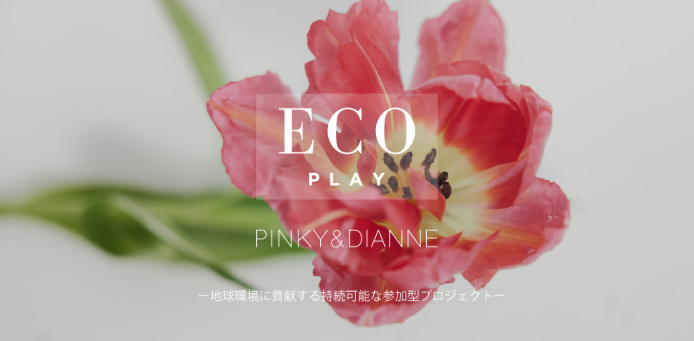ECO PLAYタイトル