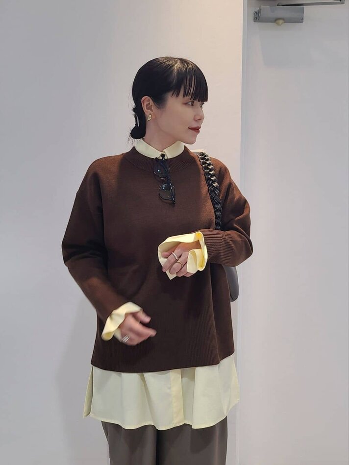 ブラウンプルオーバー