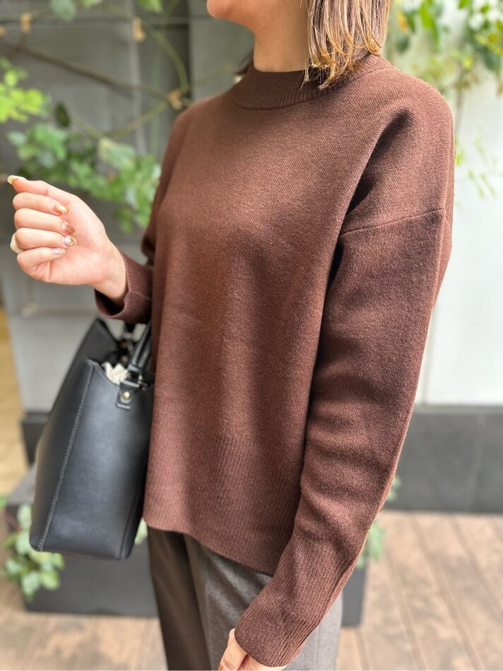 ブラウンプルオーバー