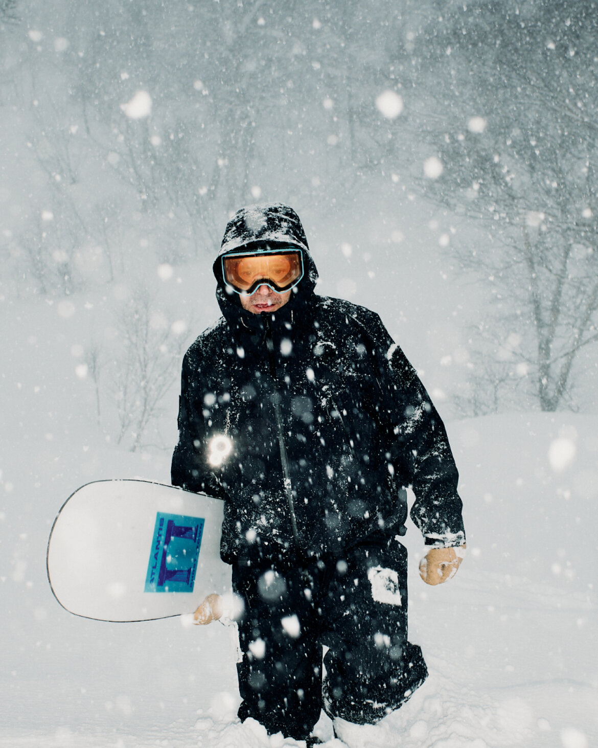 画像のaltを設定してください