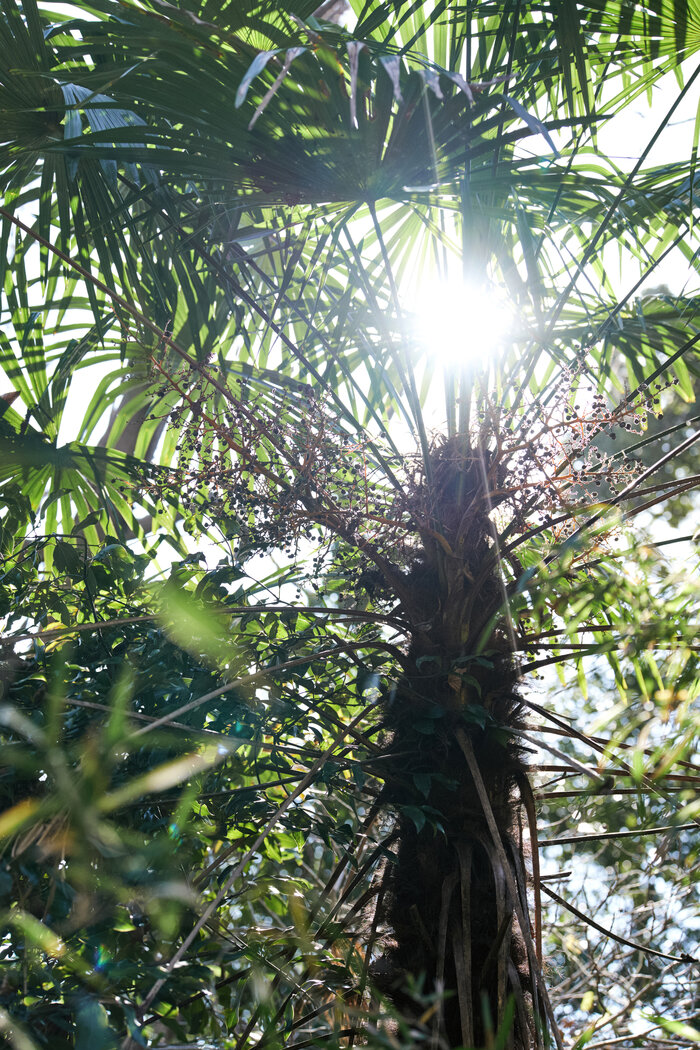 画像のaltを設定してください