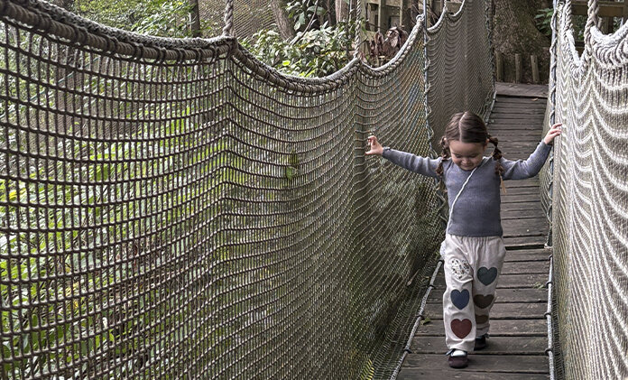 画像のaltを設定してください