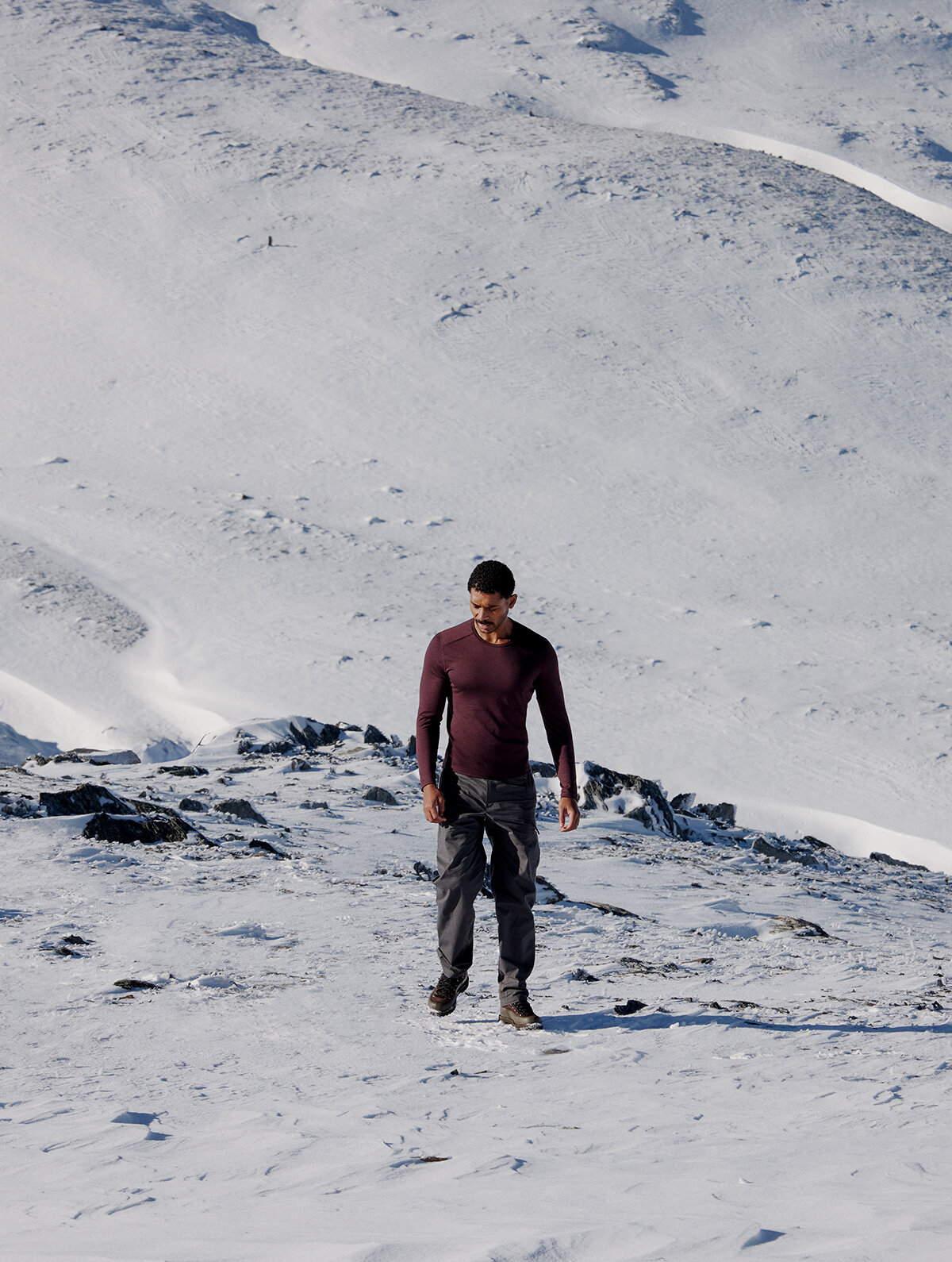 画像のaltを設定してください