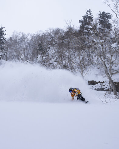 画像のaltを設定してください