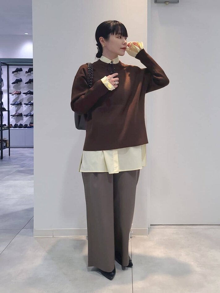 ブラウンプルオーバー