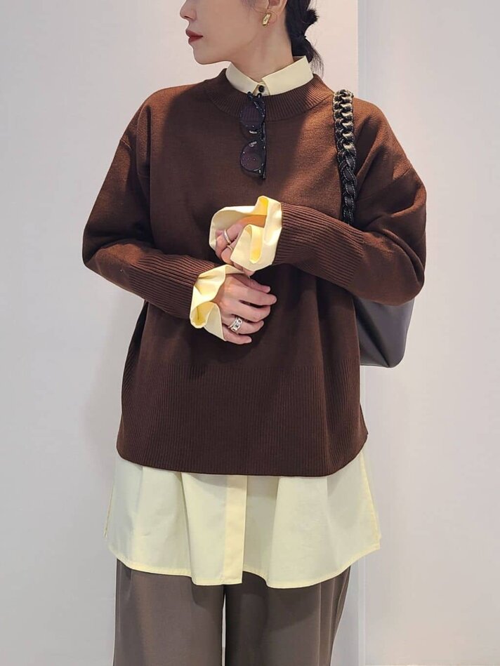 ブラウンプルオーバー