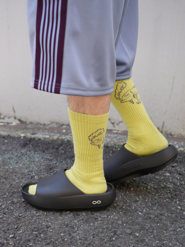 画像のaltを設定してください