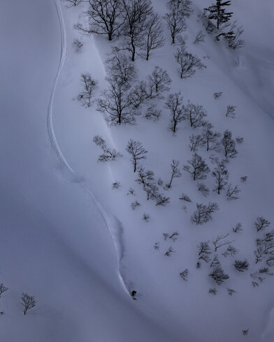 画像のaltを設定してください