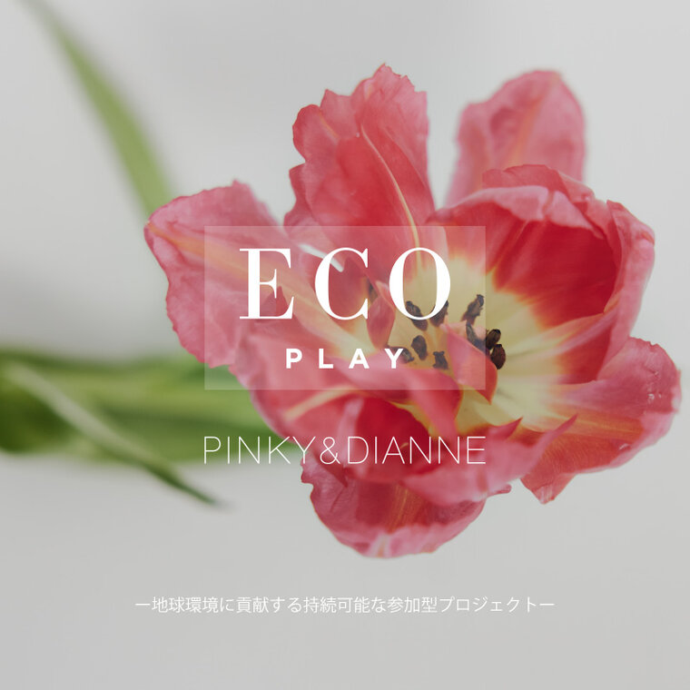 ECO PLAYバナー画像